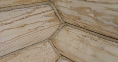 Фото - 1